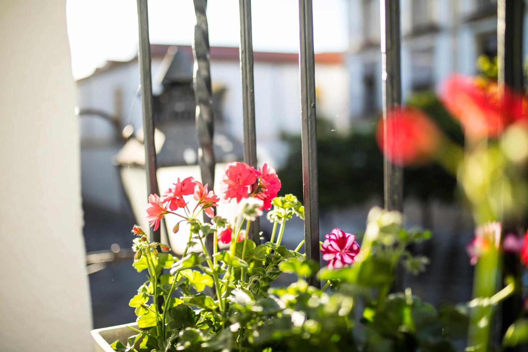 Capricho De La Juderia Suites Córdoba Eksteriør bilde